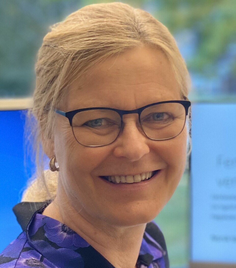 Liv Ingrid Aske Håberg er førsteamanuensis ved Institutt for pedagogikk ved Høgskulen i Volda.