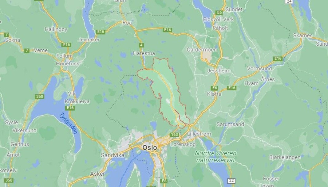 Nittedal kommune driver barnehagene sine etter sigende for knapper og glansbilder. Nå har kontrollutvalget sett nærmere på sektoren - og kommer med krass kritikk. Nittedal kommune driver barnehagene sine etter sigende for knapper og glansbilder. Nå har kontrollutvalget sett nærmere på sektoren - og kommer med krass kritikk.