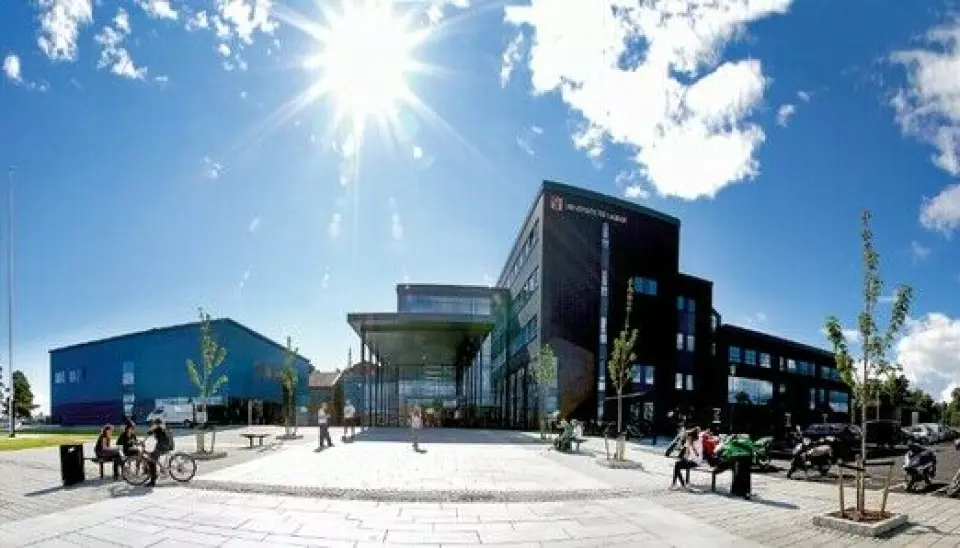Campus Grimstad er ett av to campus under Universitetet i Agder, og tilbyr blant annet barnehagelærerutdanning. Nå gjøres utdanningen mer tilgjengelig også andre steder i fylket