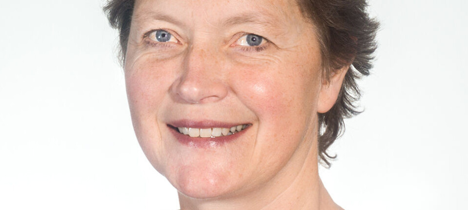 Får 60 millioner kroner til Nesna-satsing