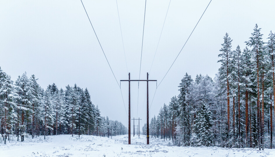 Høye kraftpriser har preget vinteren 2021/2022.