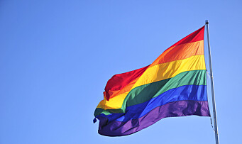 Kjøper regnbueflagg til barnehagene