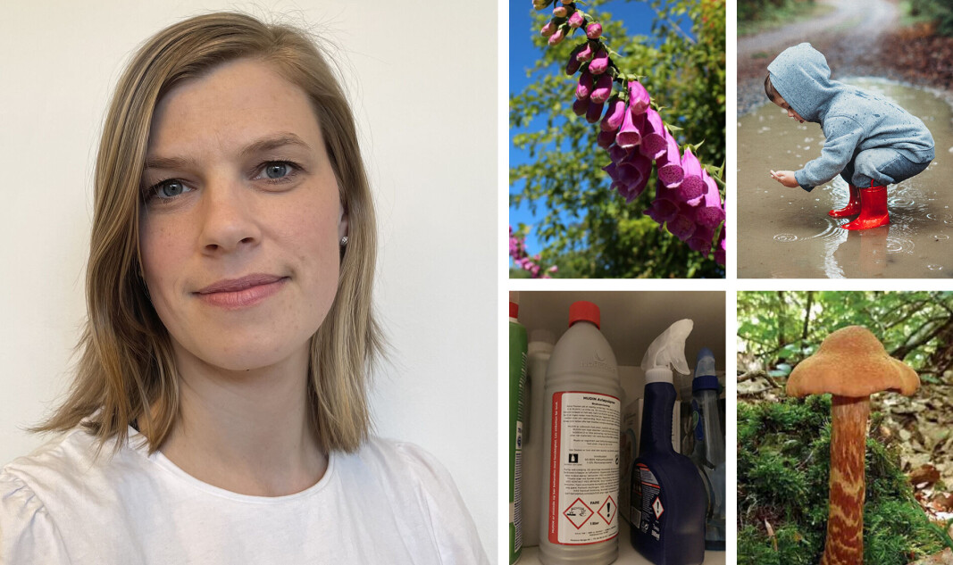 Stine Jevnehagen Moe er seniorrådgiver ved Giftinformasjonen. Stine Jevnehagen Moe er seniorrådgiver ved Giftinformasjonen.