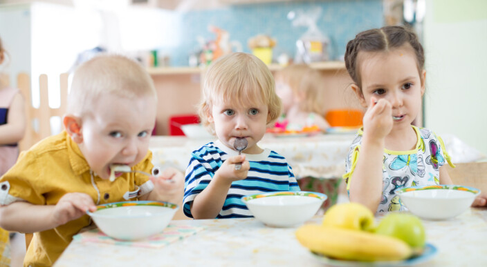 – Prisrekord på mat kan føre til økt barnehagepris