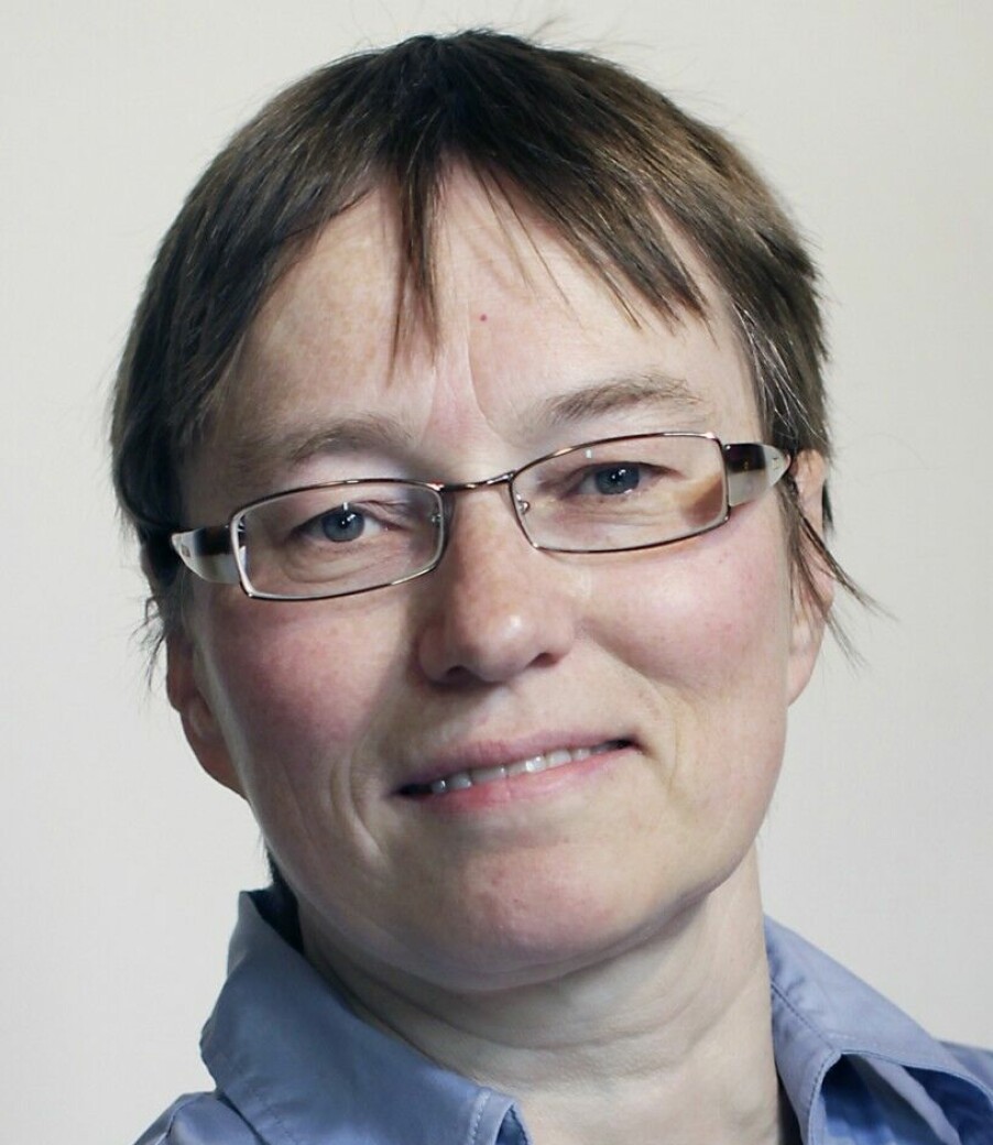 Kristine Nergaard er forsker innen temaene organisering og tariffavtaler samt lønns og arbeidsvilkår.