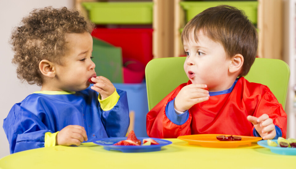 Svarene på spørsmål om barnehagens mattilbud er det som viser størst forskjell mellom private og kommunale barnehager i undersøkelsen.