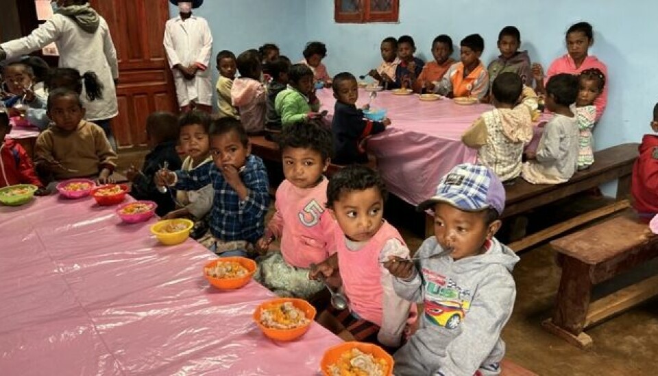 Barnehagen sørger for at barna får et måltid om dagen.
