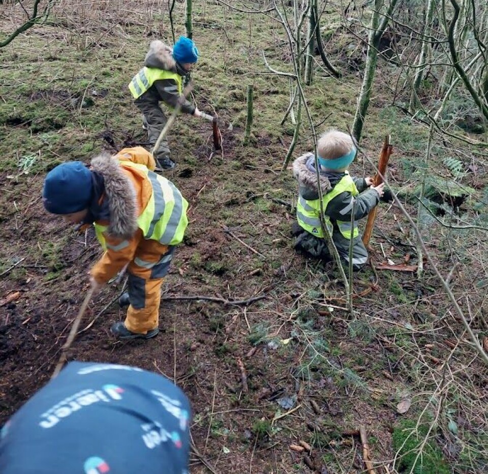 Barna i Haugland gardsbarnehage er ofte i skogen og gjør skogsarbeid.