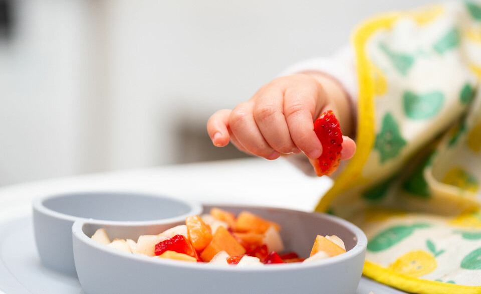 Det er dårlig nytt for småbarnsfamilier at byråd Sunniva Holmås Eidsvoll (SV) i Oslo ønsker å tvinge private barnehager til å levere et dårligere mattilbud, skriver PBL-direktøren.