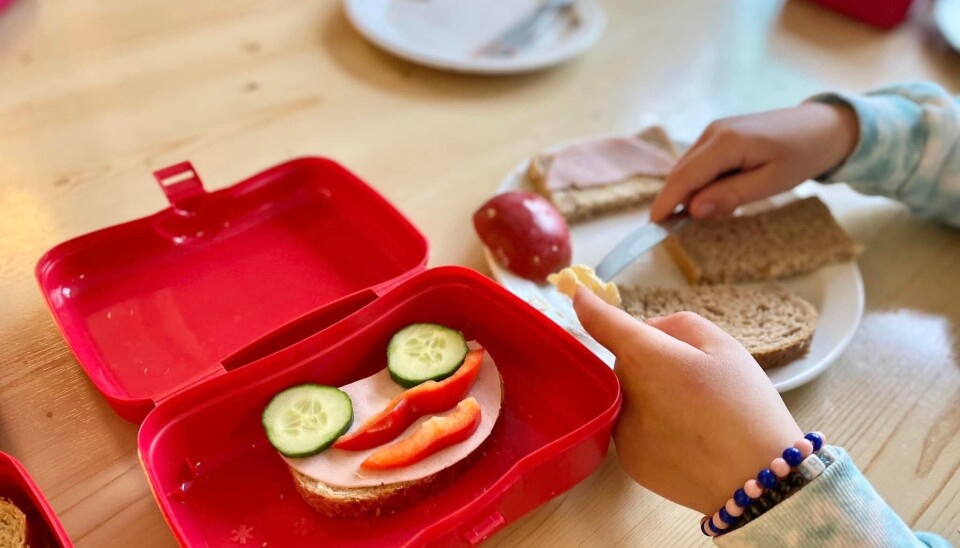 Skolestarterne i Espira Rå inviteres hvert år til matpakkekurs. Der får barna et innblikk i kostholdssirkelen, og kunnskap om hva som er bra å legge i matboksen, og hvilken mat som gir energi.
