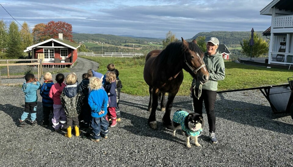 Barna i Raumyr barnehage er ofte på tur. Fredag i forrige uke var en stor del av barnegruppa på besøk hjemme på gården hos tillitsvalgt Gro Røsland.