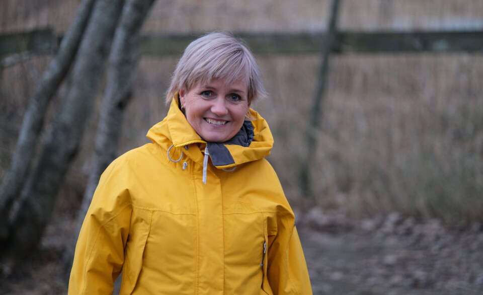 Elin Børve er faggruppeleder for barnehagelærerutdanningen ved Nord universitet. Elin Børve er faggruppeleder for barnehagelærerutdanningen ved Nord universitet.