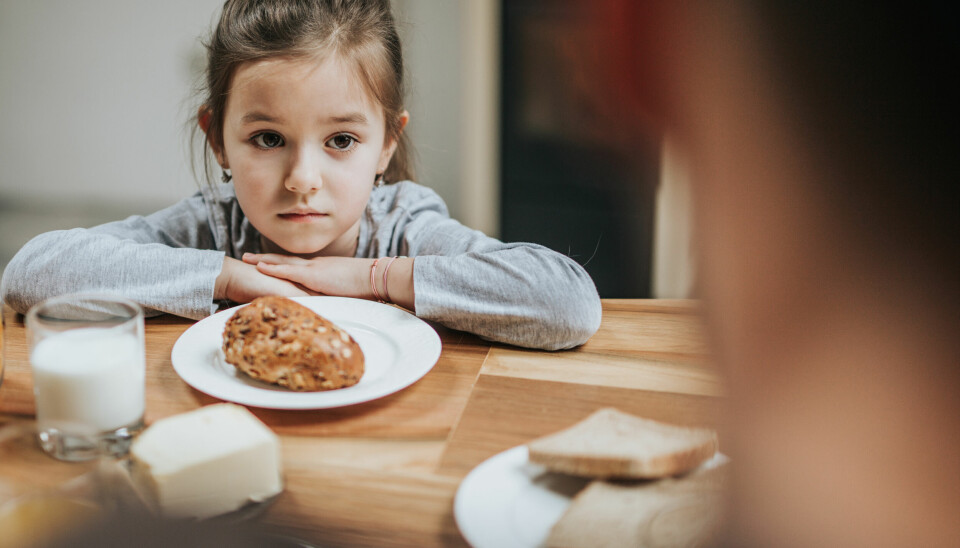 Redusert mattilbud i noen barnehager kan bli en av konsekvensene av regjeringens forslag til nye regler, ifølge Kunnskapsdepartementets eget høringsnotat.