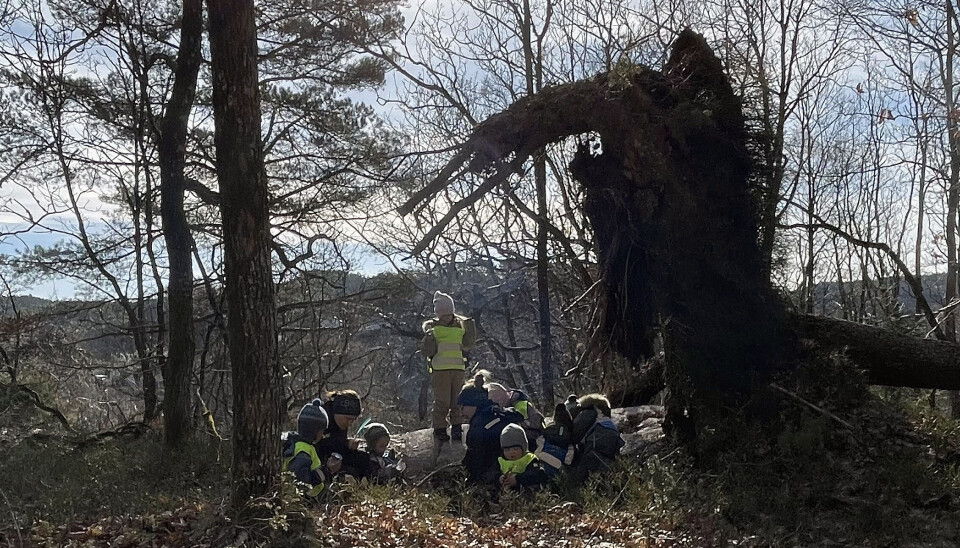 Ei stor rot er dagens turmål for barnehagebarna. Hvis noen beveger seg utenfor gjerdet, går alarmen. Beehive Project tegner usynlige gjerder når barna i Vikkilen barnehage går på tur. Intervju med daglig leder i Beehive Christian Johannessen og styrer Siren Solvik i barnehagen.