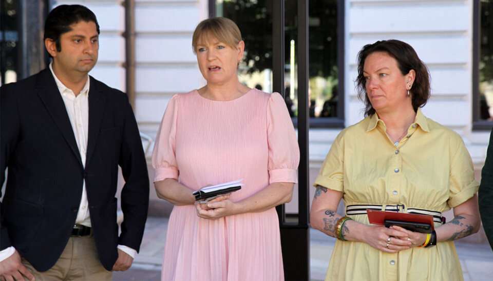 Himanshu Gulati (FrP) står ganske langt fra Grete Wold (SV) og Hege Bae Nyholt (R) i synet på hvordan barnehagesektoren skal styres. Men noe er de enige om. Til høsten fortetter de samtalene om et mulig barnehageforlik.