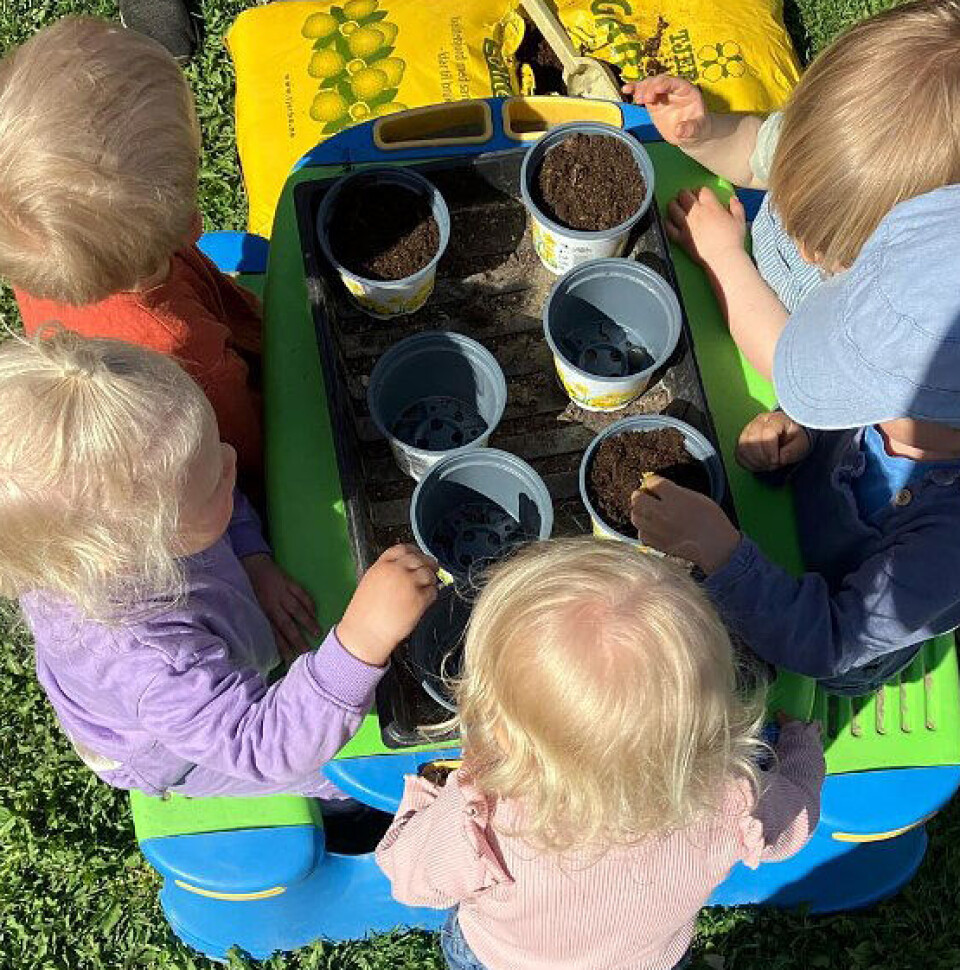 Vår❤️Vi koser oss og sår solsikke og blomkarse🌷Vi lukter på blomstene og lærer å ha respekt for alt levende i naturen, det er ikke lov å tråkke på maur🐜Og, det går veldig fint å lukte og å se blomster med hendene på ryggen😅👏👏Ser dere det er flyttet bier inn i humle-bie hotellet? 🐝 Vår❤️Vi koser oss og sår solsikke og blomkarse🌷Vi lukter på blomstene og lærer å ha respekt for alt levende i naturen, det er ikke lov å tråkke på maur🐜Og, det går veldig fint å lukte og å se blomster med hendene på ryggen😅👏👏Ser dere det er flyttet bier inn i humle-bie hotellet? 🐝
Hestehoven og Mosseliten familiebarnehage.