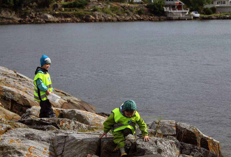 Fjæra og sjøen ligger rett utenfor porten til Molvær barnehage i Sula kommune. Da blir det ofte turer for å klatre på svabergene, eller gå på rullestein. Molvær barnehage i Sula kommune.