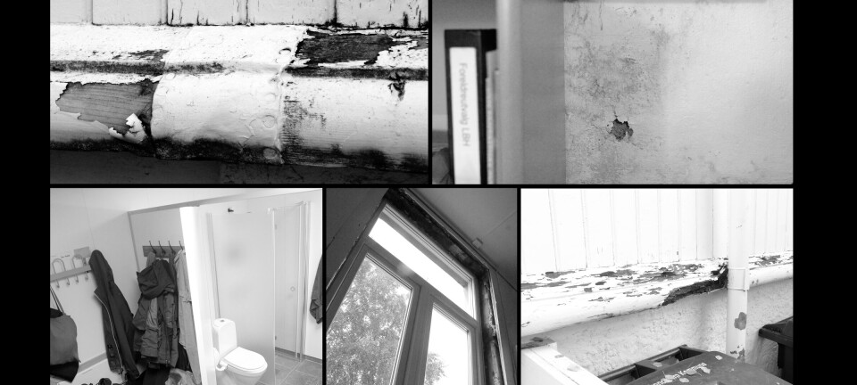 Ser barnehagenes bygninger forfalle