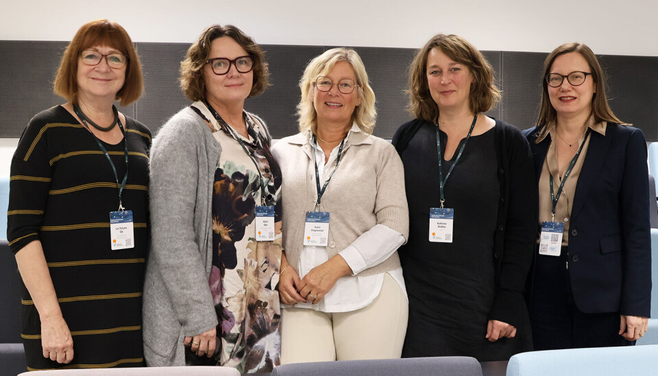 Fra venstre: USN-forskerne Liv Torunn Eik, Marit Bøe, Karin Hognestad, Kathrine Brekke og Janne Solberg.