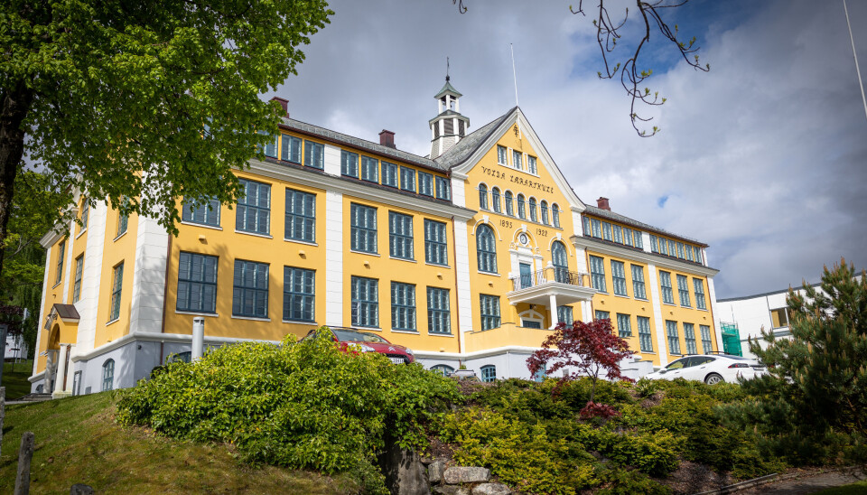 I Volda gleder man seg over at flere enn i fjor har søkt barnehagelærerutdanning.