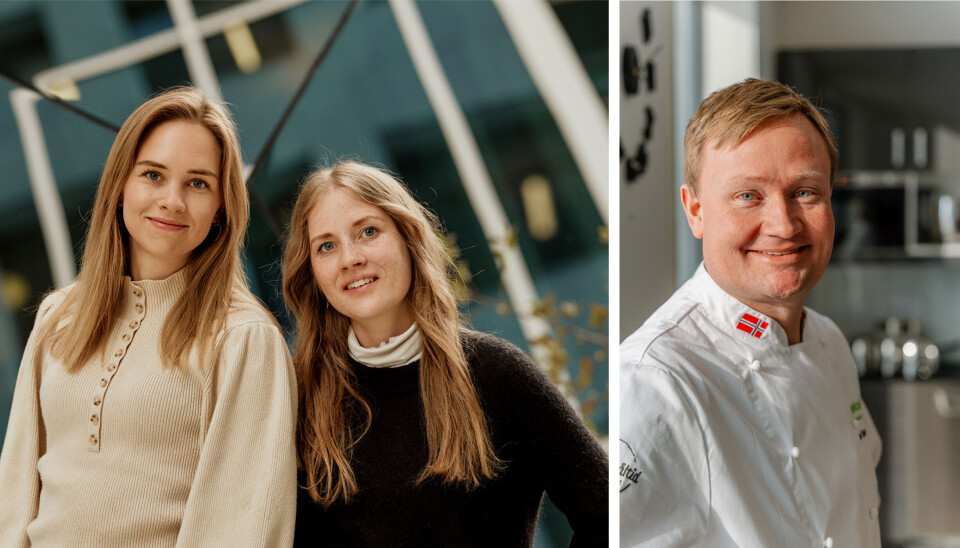 Maja Skogstad og Susann Stave fra Barnematbyen er begge forfattere med master i samfunnsernæring. Frode Selvaag er kokk og jobber med Et godt måltid i Læringsverkstedet.