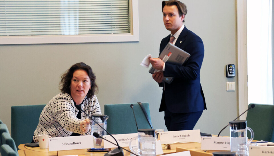 Hege Bae Nyholt (R), leder i Utdannings- og forskningskomiteen.