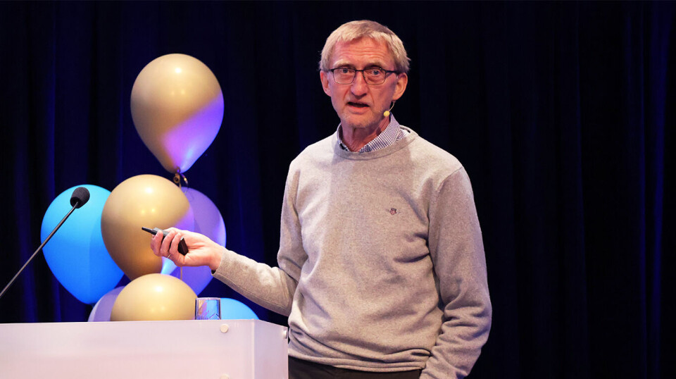 Bjørn Brox, rådgiver i Agenda Kaupang.