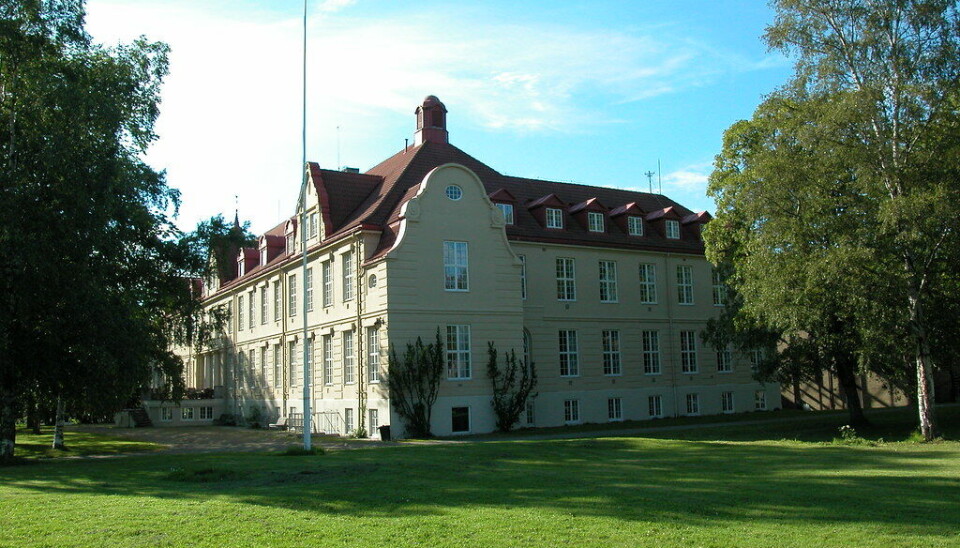 Hovedbygget til Dronning Mauds Minne høgskole for barnehagelærerutdanning i Trondheim sett fra parken.