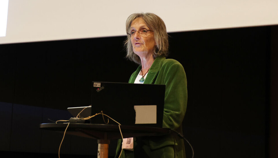 Ingrid Lund er professor i spesialpedagogikk ved UiA. Hun har i mange år forsket på atferdsproblematikk og læringsmiljøutvikling.