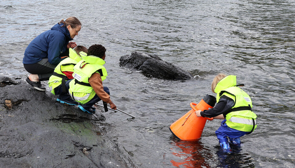 Barna utforsker livet i fjorden sammen med Annika Ljungström i Oslofjordens Friluftsråd.