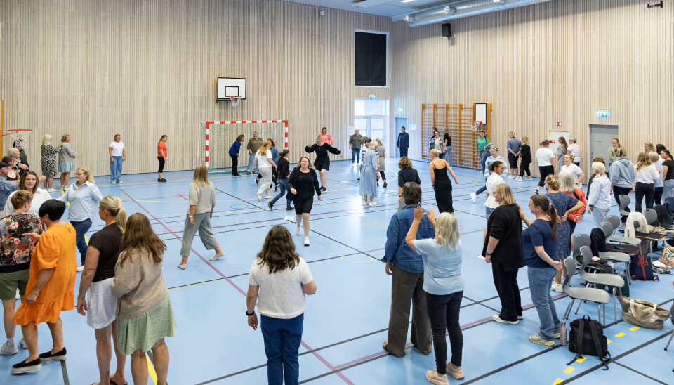 Barnehageansatte i Melhus samlet i gymsalen på Flå skole, der Matematikksenteret veiledet i «Kroppslig lekende matematikk og representasjoner av tall».