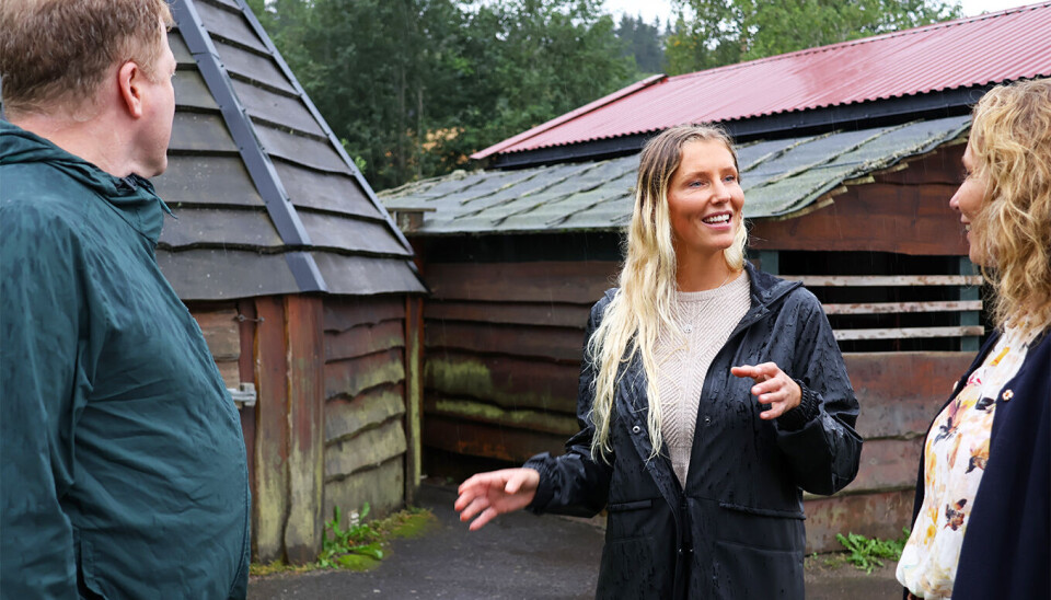 Gjestene får omvising på barnehagens uteområde av Lauveng.