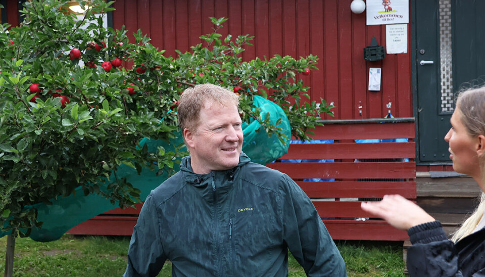 Epletreet i barnegrunnen har barnehagen fått i gave av SU.