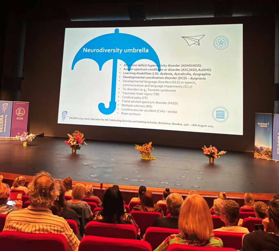 Fra den 33. årlige EECERA-konferansen.
